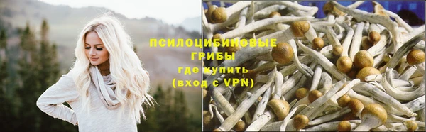 молекула духа Мегион