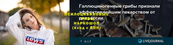сатива Медвежьегорск