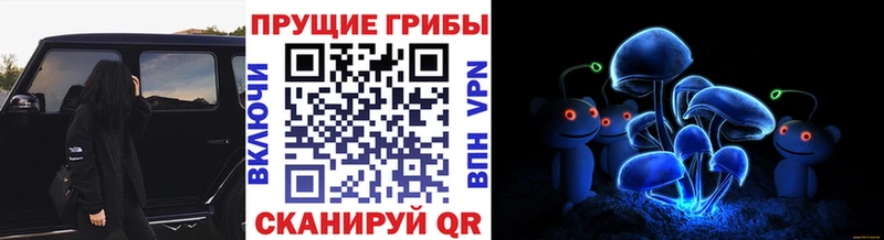 Галлюциногенные грибы Cubensis Тольятти