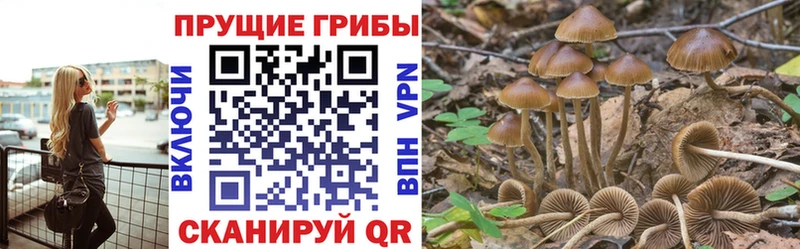 Псилоцибиновые грибы Magic Shrooms  Купить где  Тольятти 