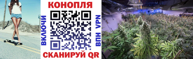 Бошки марихуана семена  Купить  Тольятти 